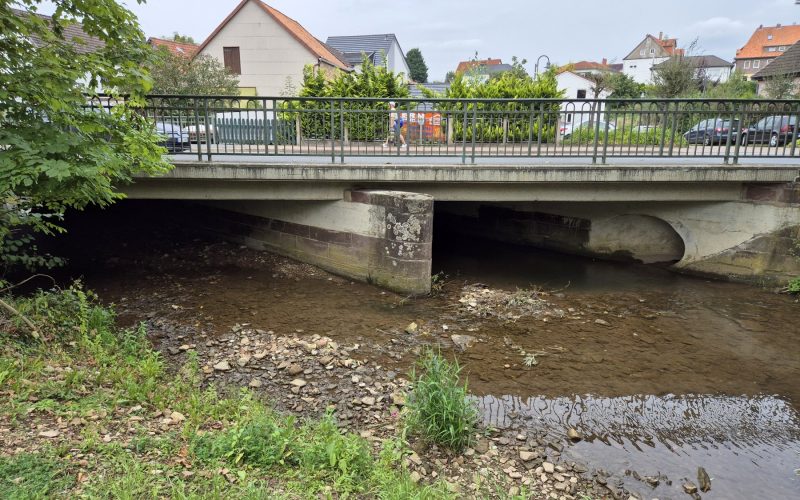 Umwelt und Nachhaltigkeit​